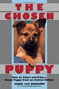 The Chosen Puppy